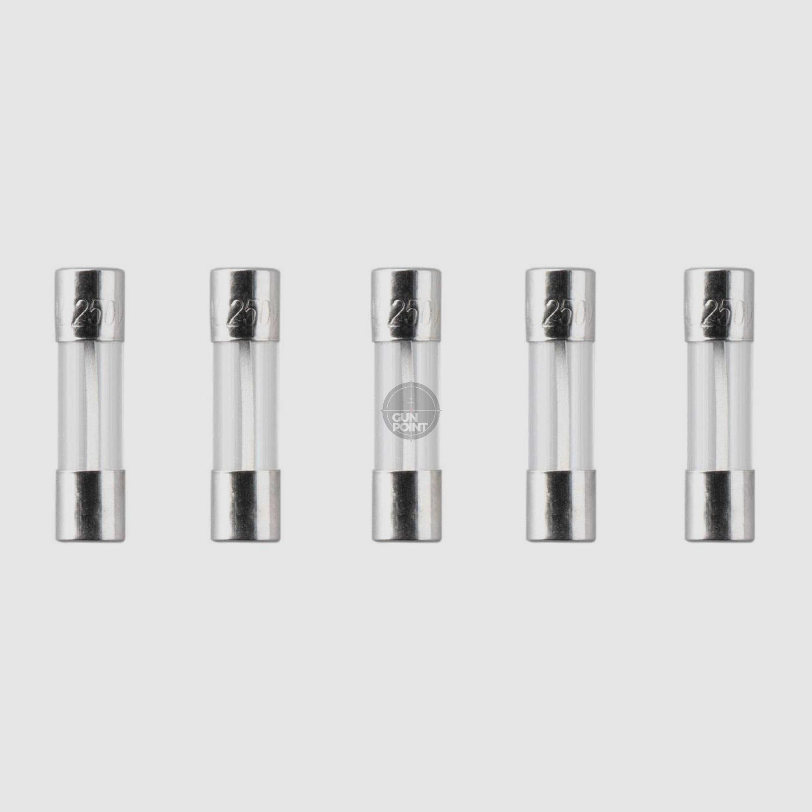 Nimrod Glass Type Fuse 5x20mm 30A 5pcs