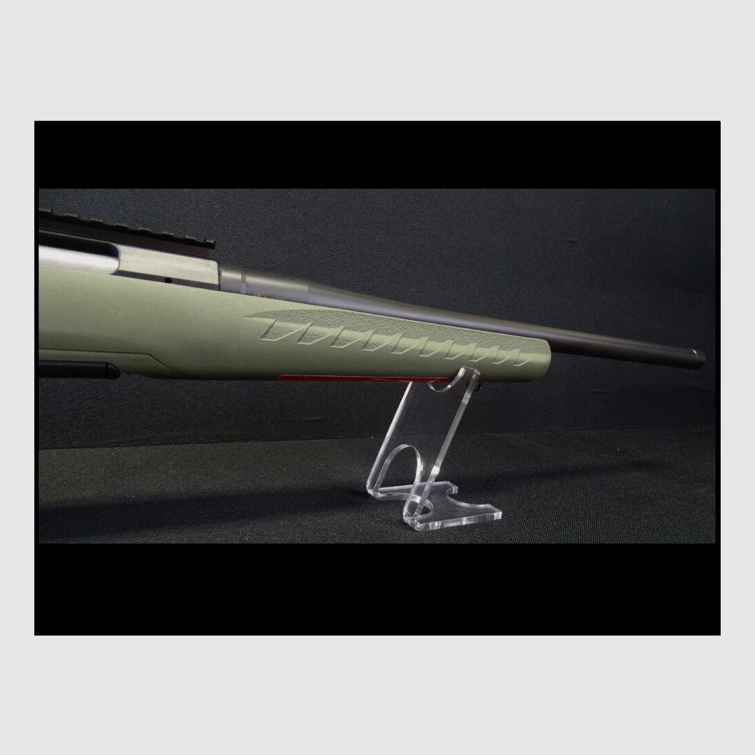 Ruger Amercian Predator