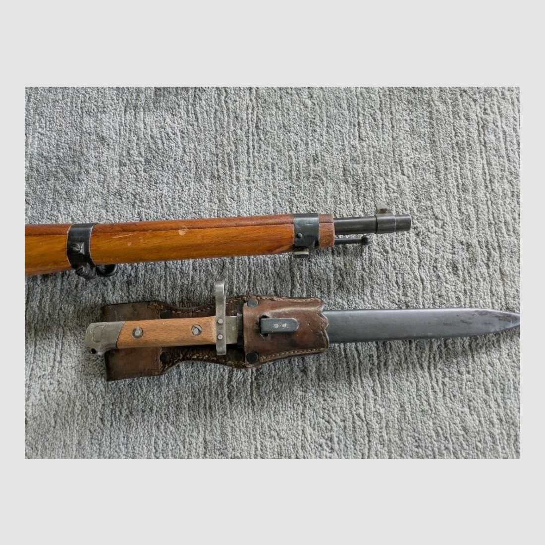 Steyr Mannlicher M95