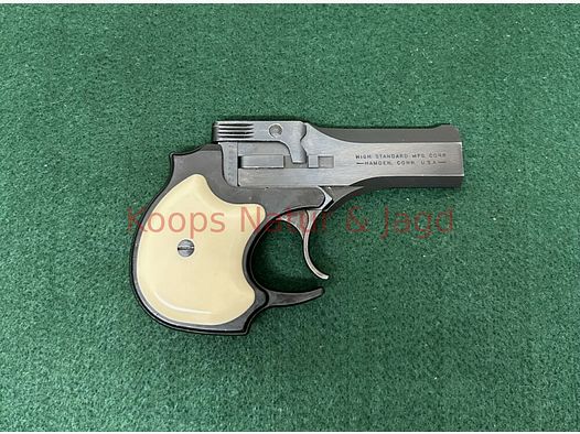 High Standard Derringer D-101