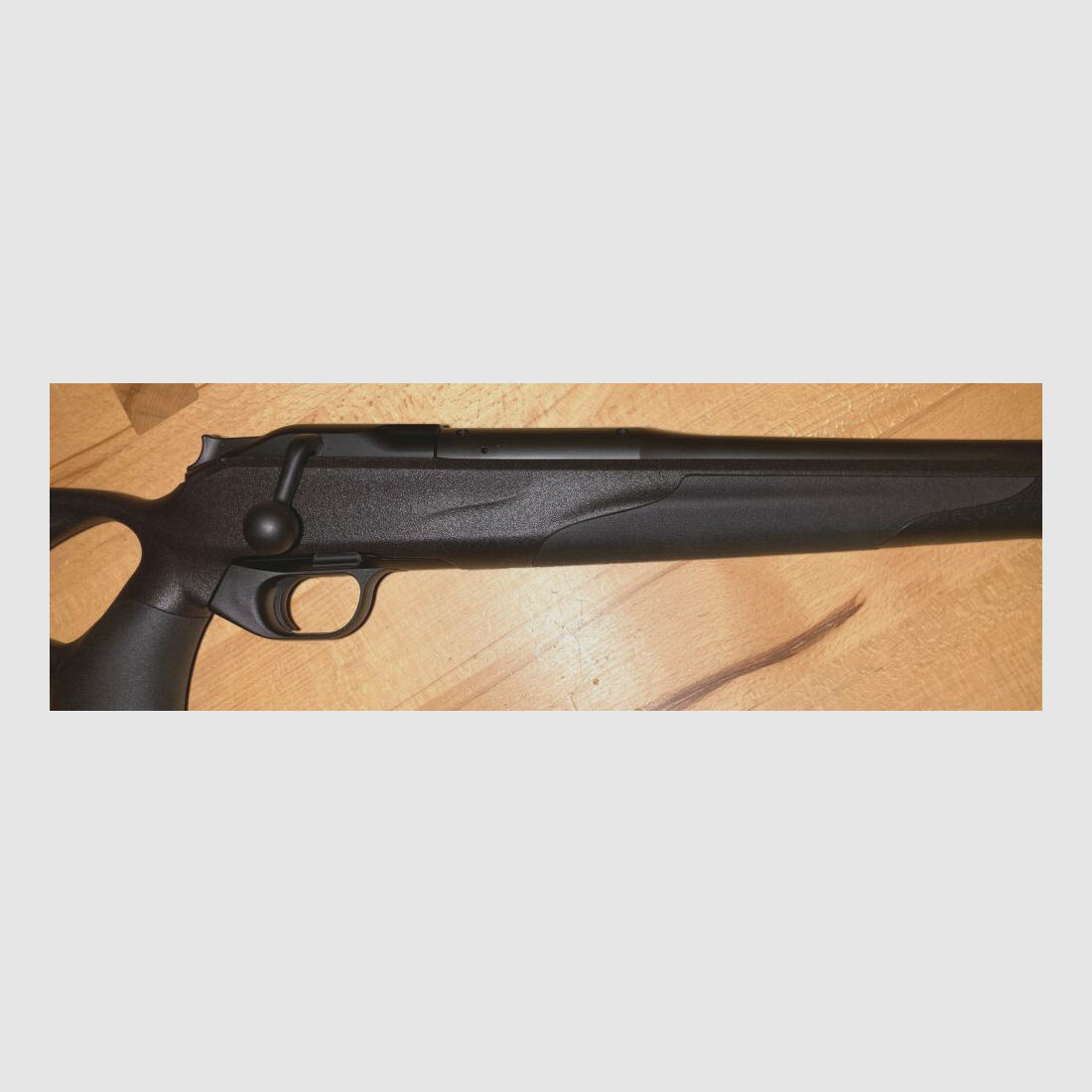 Blaser R8 Professional Success