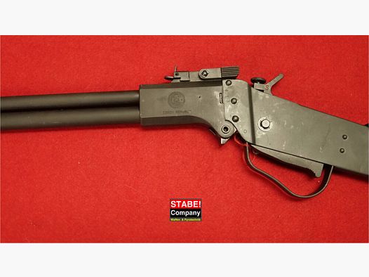 Springfield / CZ Scout M 6