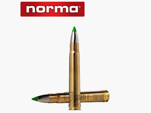 20 cartucce NORMA Cal 375 H&H Mag -250gr Ecostrike