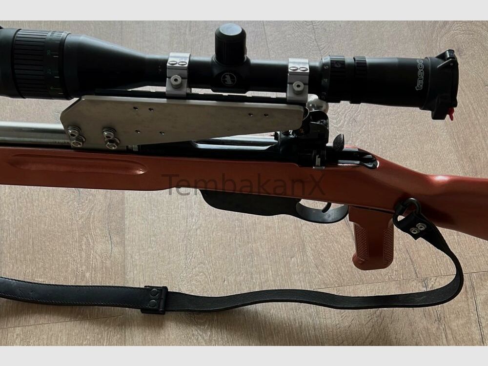 Styria Arms M95 Modifiziert/Umbau .308Win