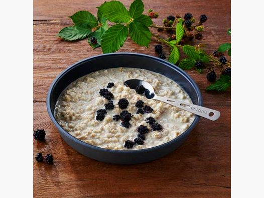 Gachas de avena Trek’n Eat