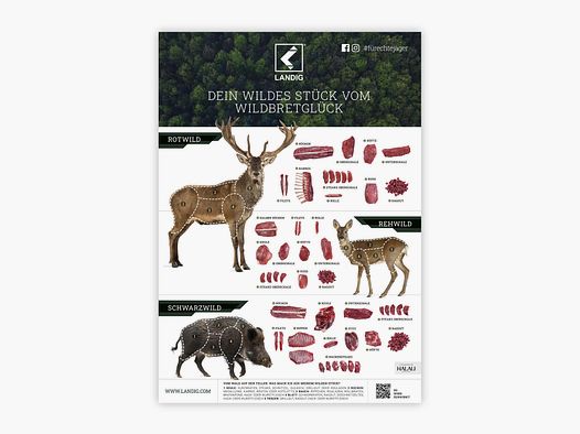 Landig affiche de gibier