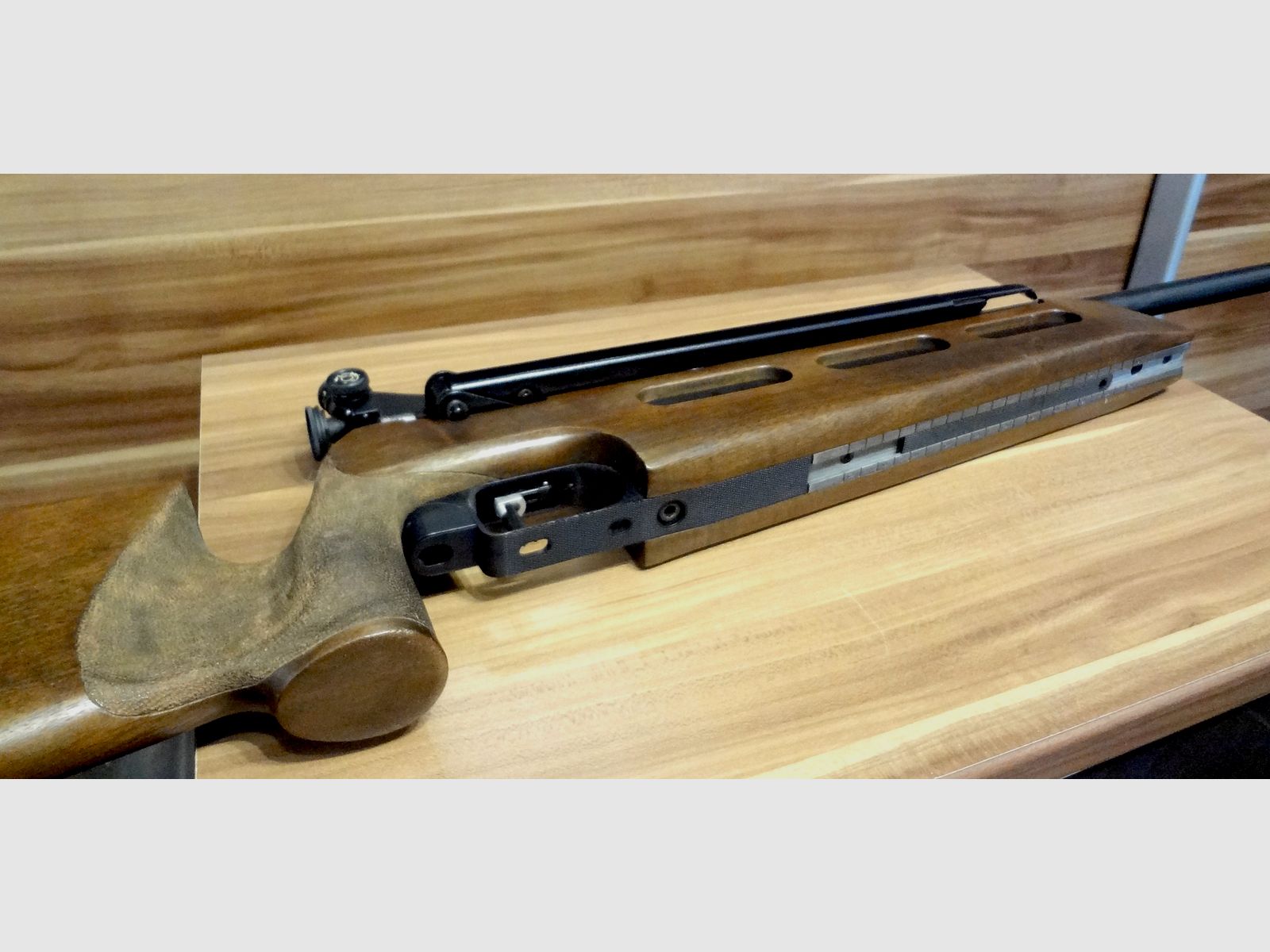 Match Luftgewehr  Diana 75