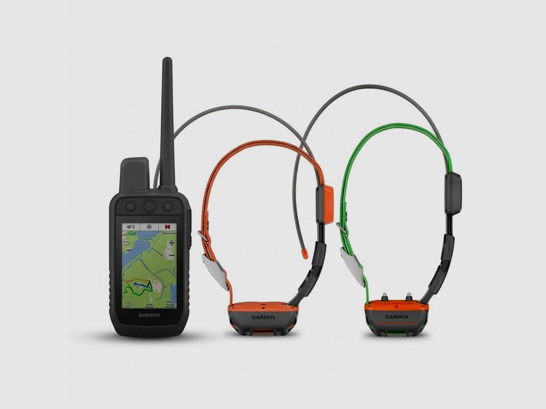 KIT – GARMIN – ALPHA 300 K + COLLAR T20 K + COLLAR TT25 K