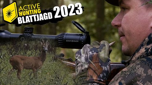 Blattjagd 2023 - Auf Rehbockjagd in Oberfranken und der Pfalz