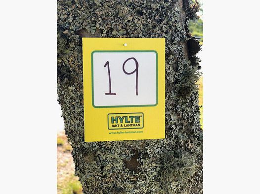 Hylte Schild Gelb
