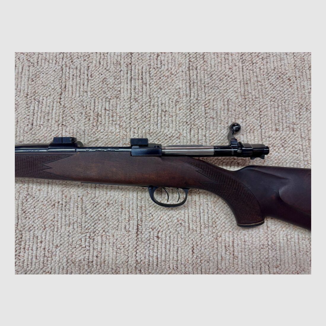 Zastava Bergfreund, Bild 2 von 3