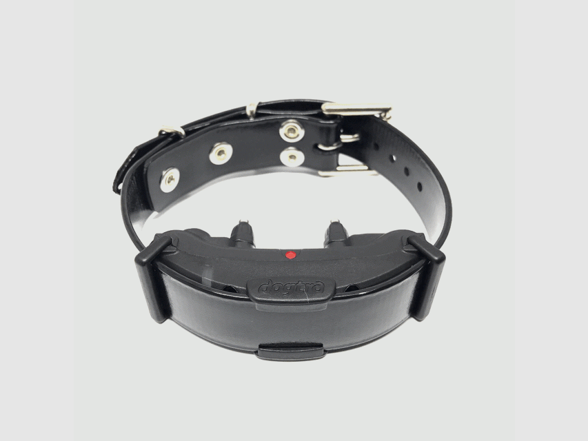 Dogtra Edge, image 3 of 3
