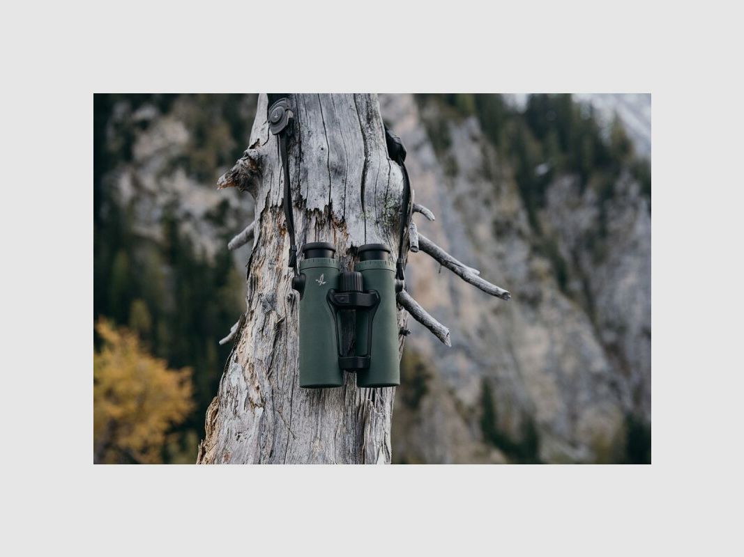 Swarovski Fernglas EL Range 10x42 TA