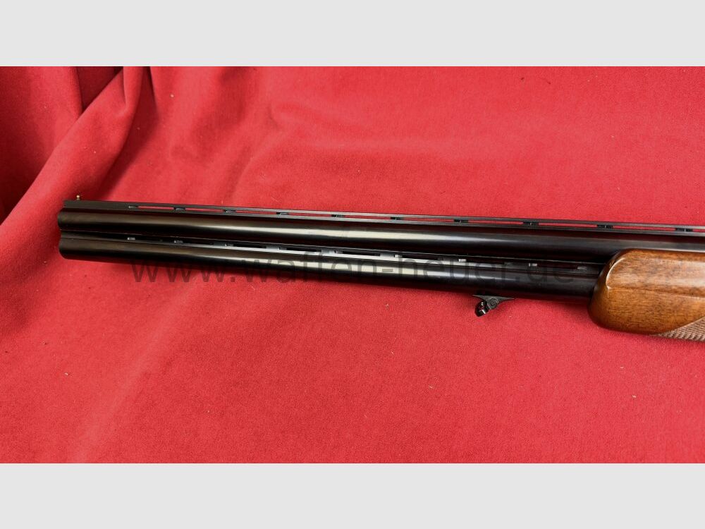 Rottweil 500