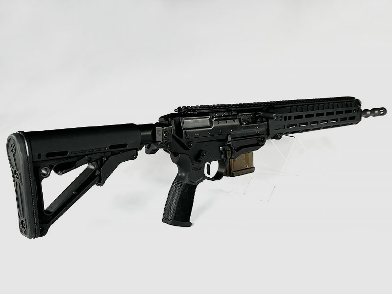 Sig Sauer SG 560 Sport