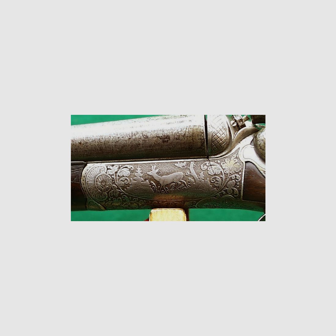 Double shotgun / hammer double shotgun
