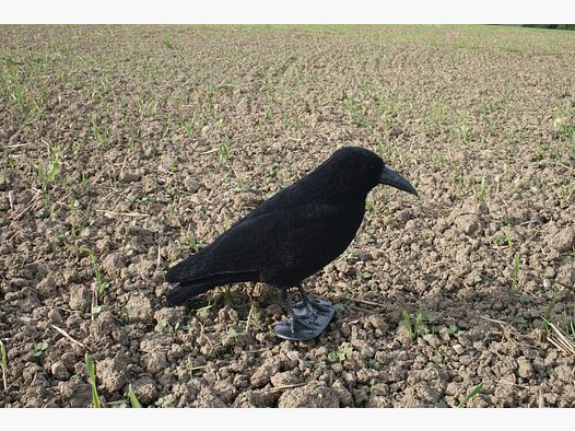 Plastic lock crow - flocked