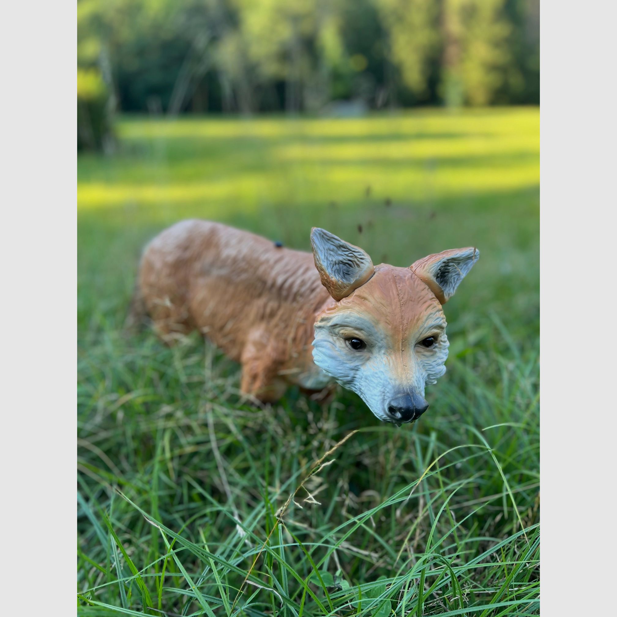 Fox decoy