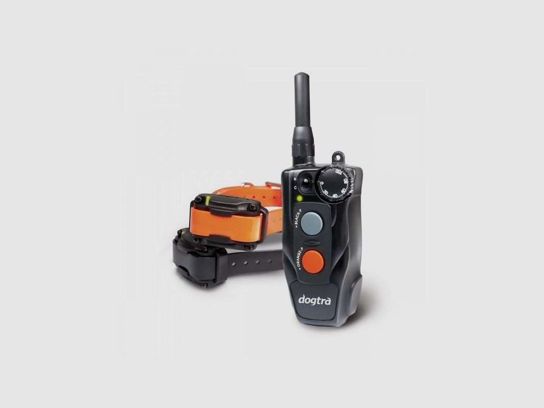 Dogtra 612C 600m zwei Hunde