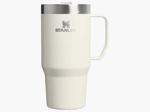 Stanley Everyday Suburban Mug