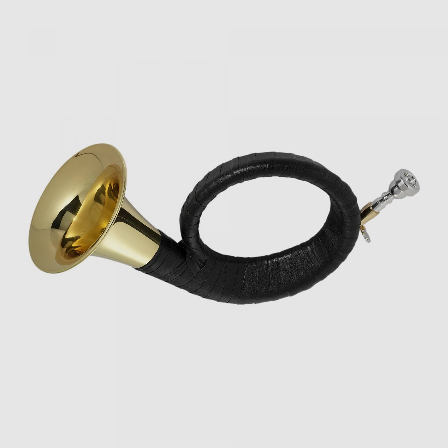 Fürst Pless Horn