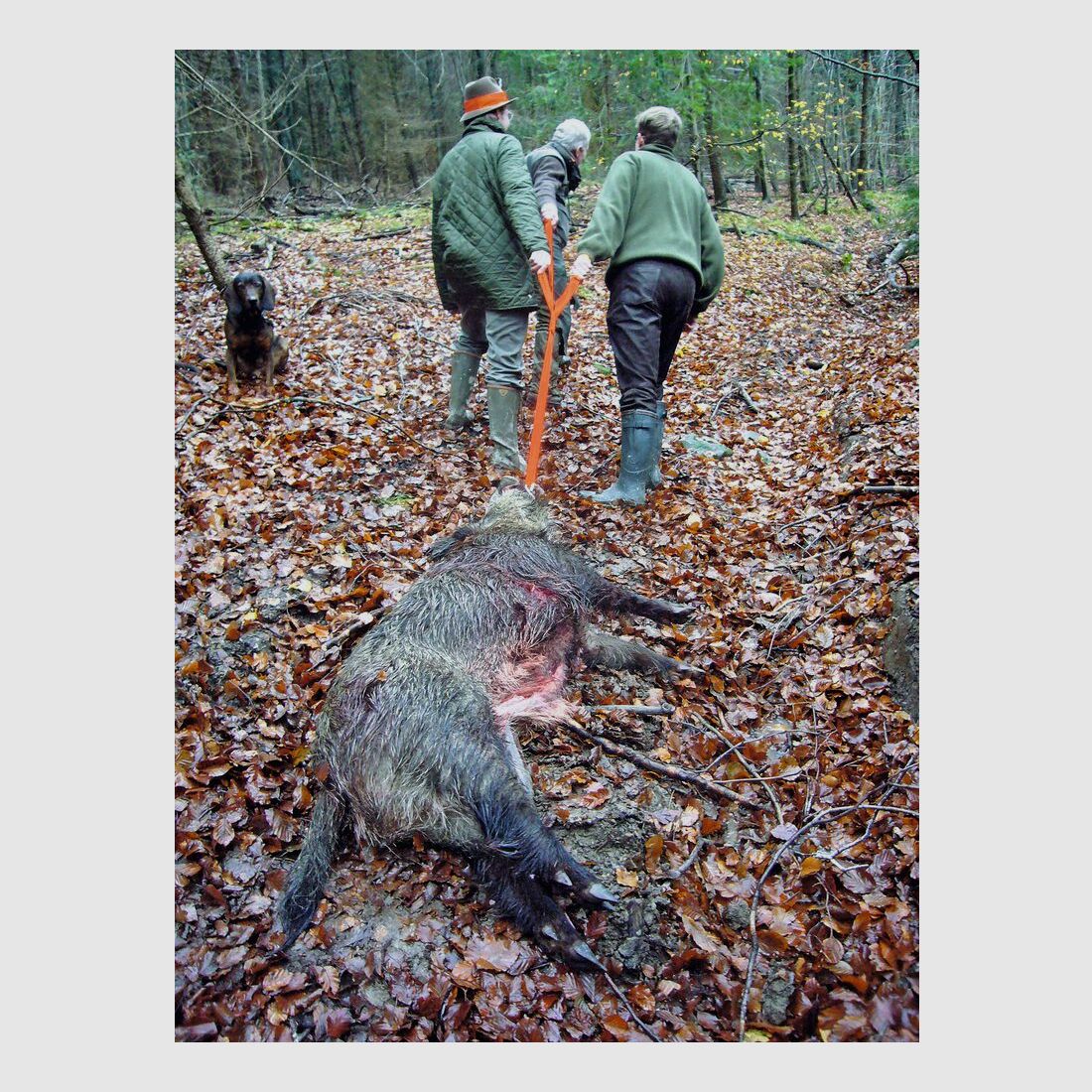 TJS Dreizug-Wildbergehilfe
