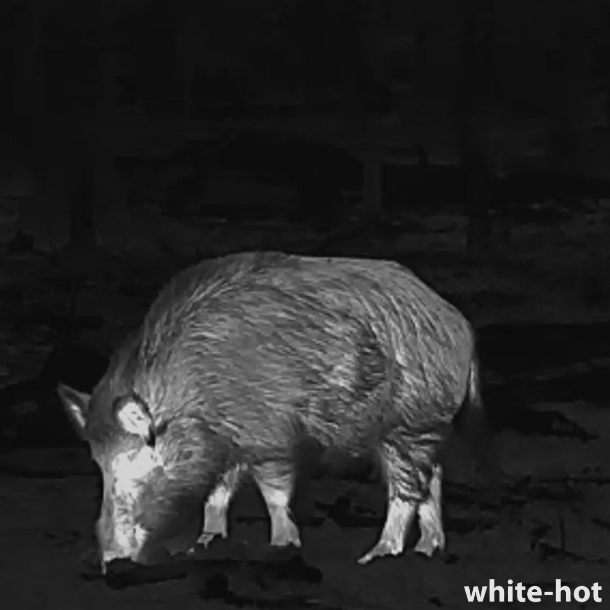 Lahoux Clip Elite 50 thermal imaging device