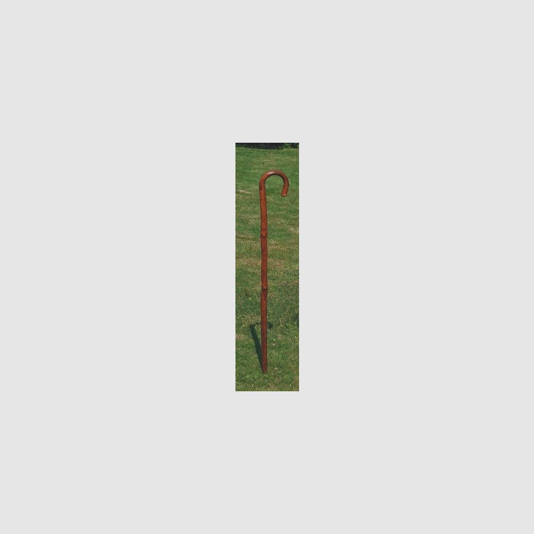 Herrenwanderstock Eiche ca. 90cm