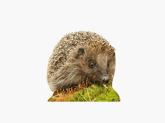 Support pour animaux hérisson