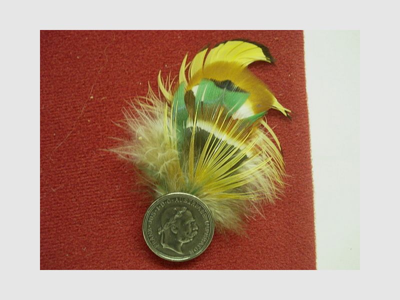 Hutfeder Jagd -