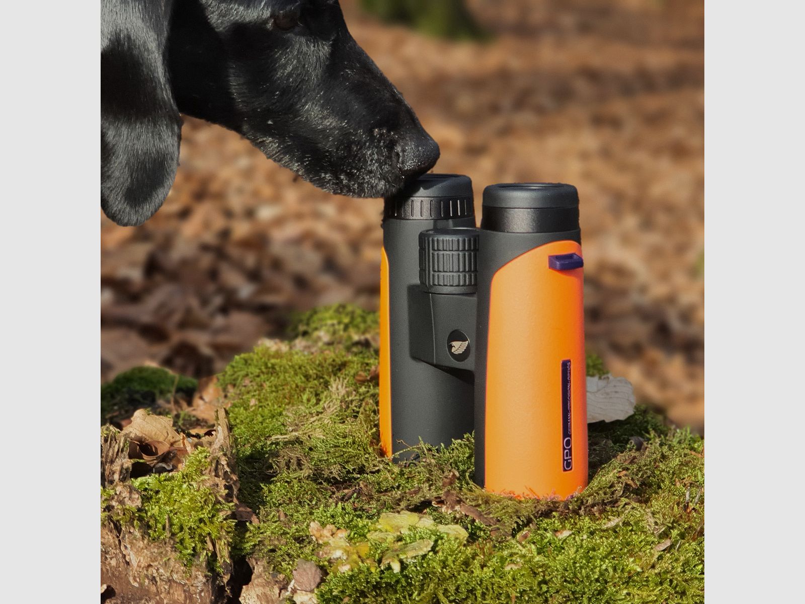 GPO Binoculars Passion™ ED 8x42 orange
