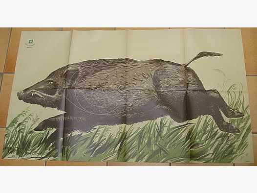 DJV Schijf Nr5-Overschrijder - vluchtige overschrijder links-oud