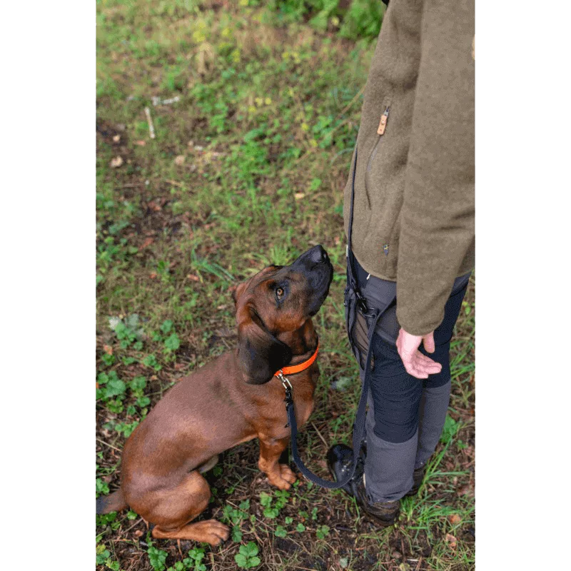 Hunde-Umhängeleine, Bild 4 von 4