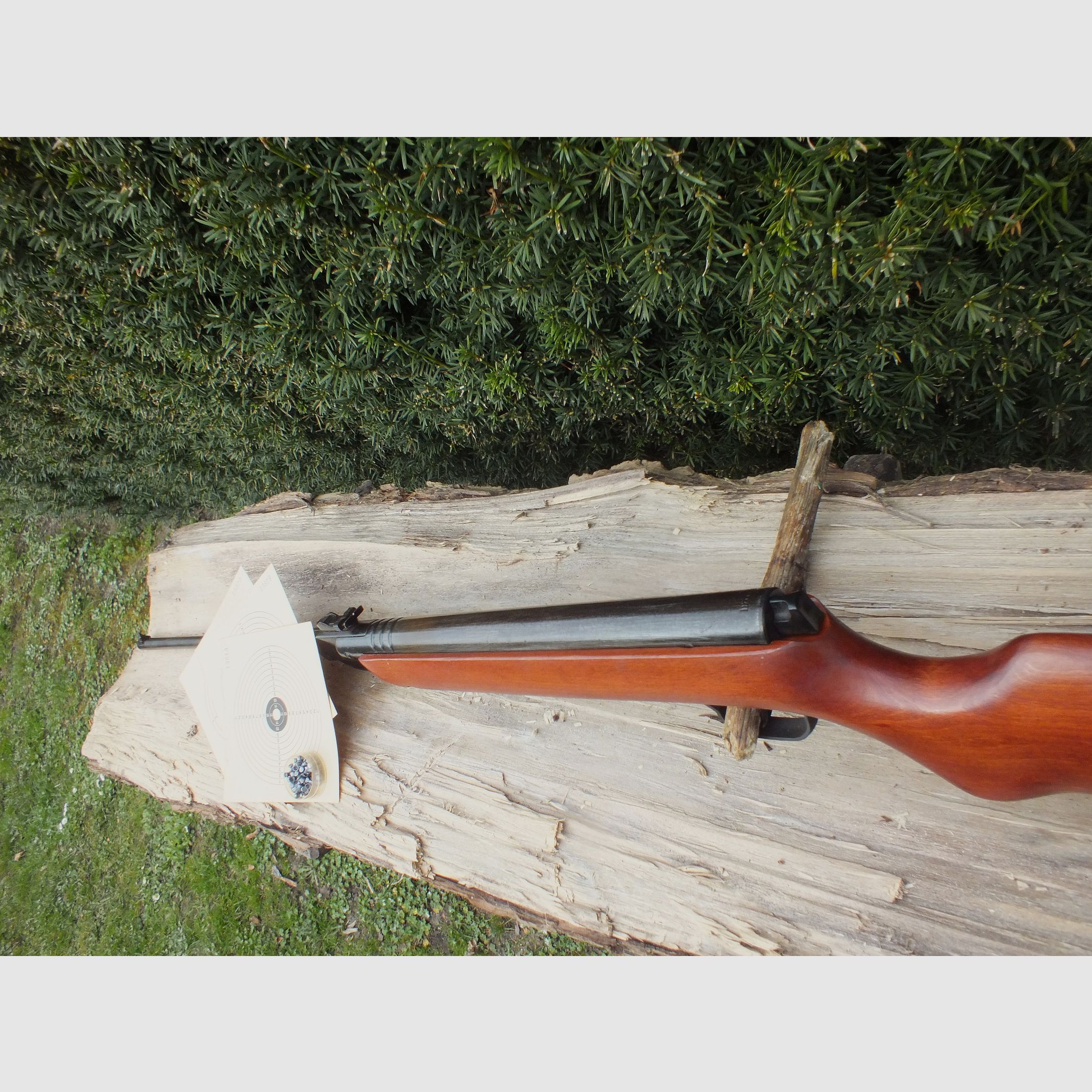 Suhler Luftdruckgewehr Haenel 303-5.