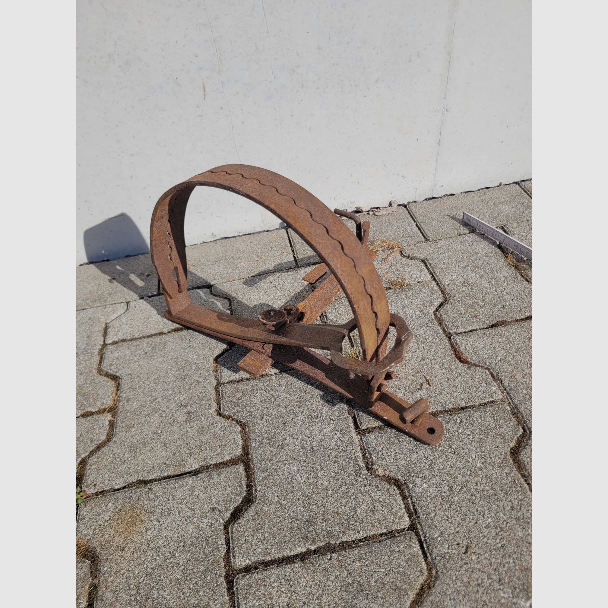 Bear trap decoration 48cm
