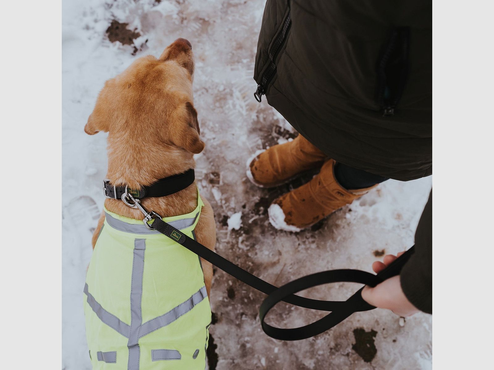 Hunter Warnweste für Hunde