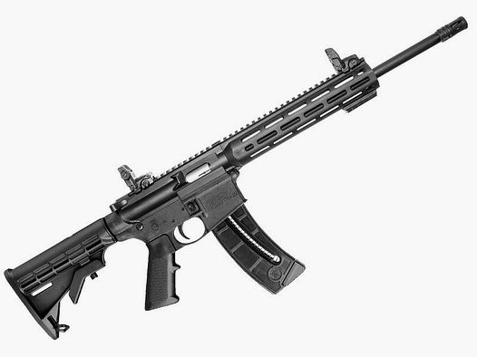 Selbstladebüchse Smith & Wesson M&P15-22 Sport