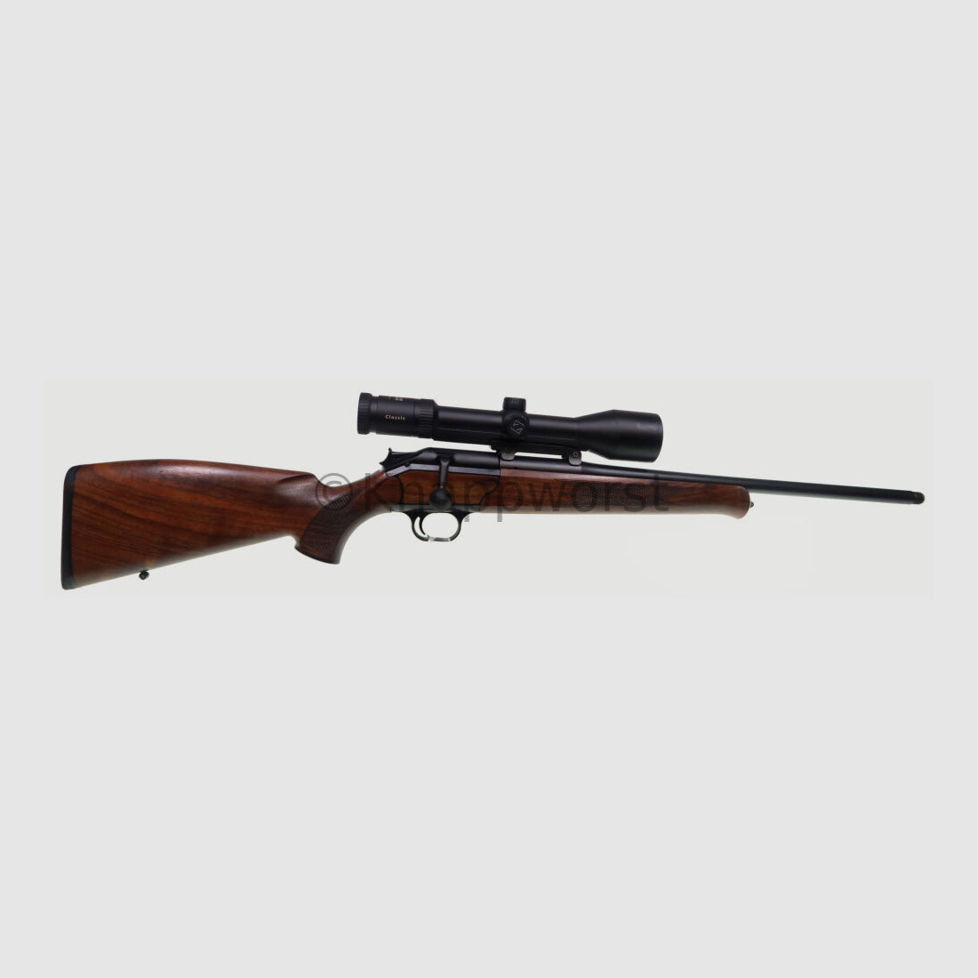 Blaser-Waffen Blaser R93 Zeiss 2,5-10x50