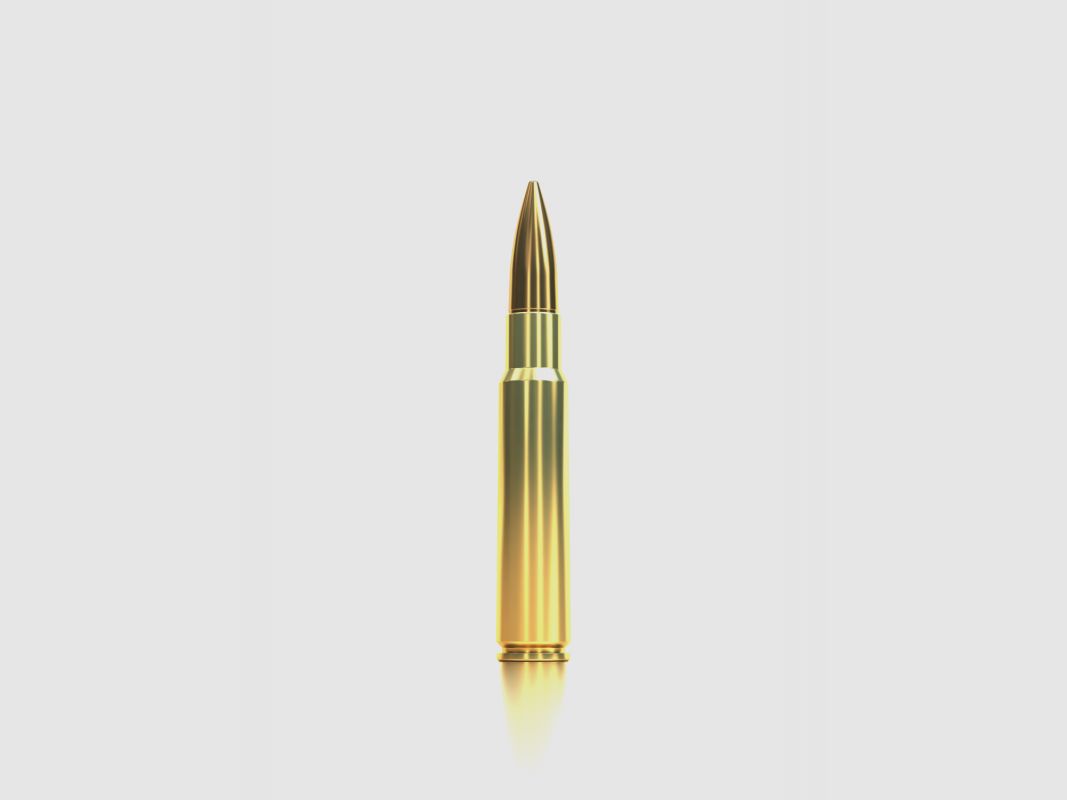 S&B 7,5X55 174 GRS / 11,3 GR FMJ 50 STK, Bild 2 von 2