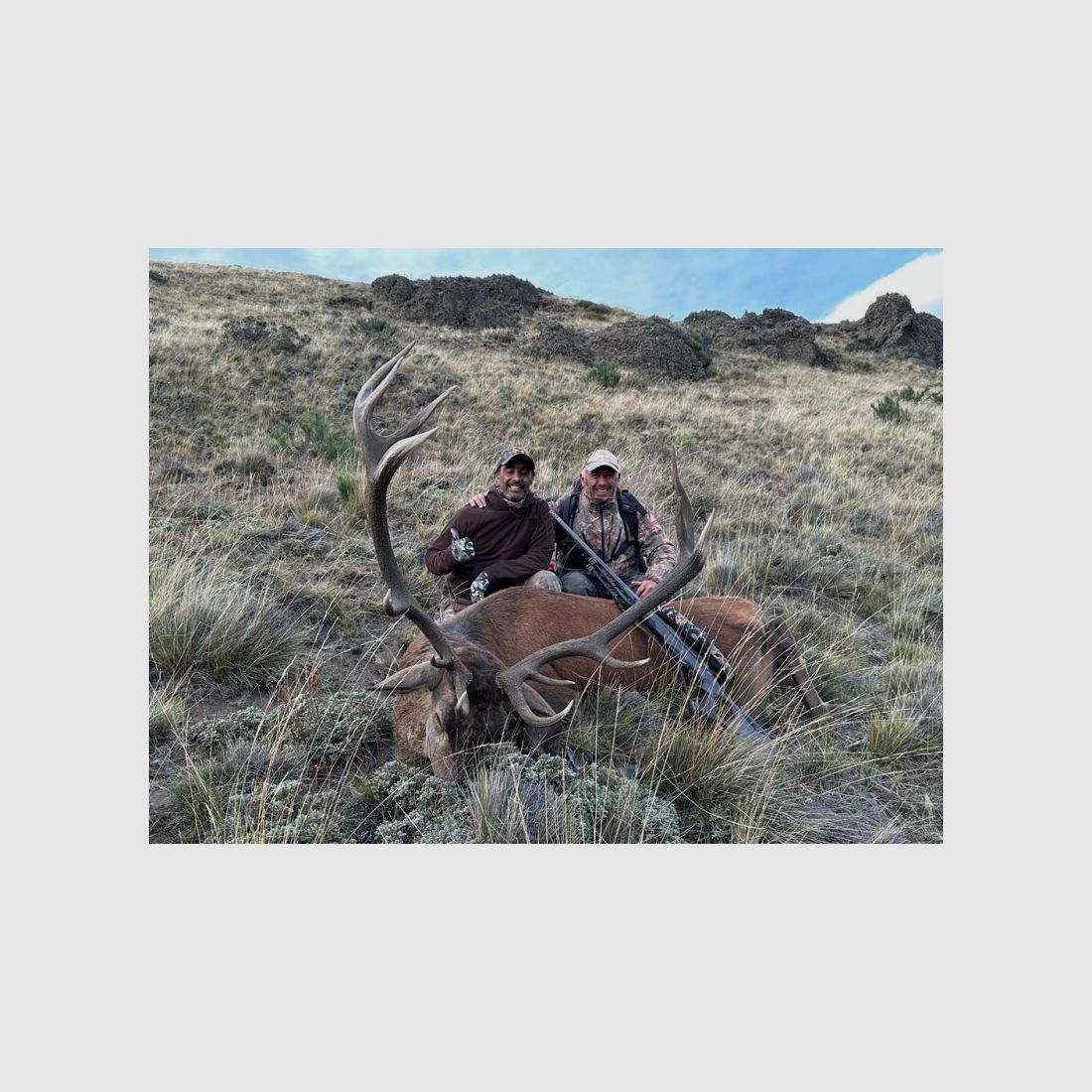 Auf starke Rothirsche in Patagonien! Eine fantastische Jagd!