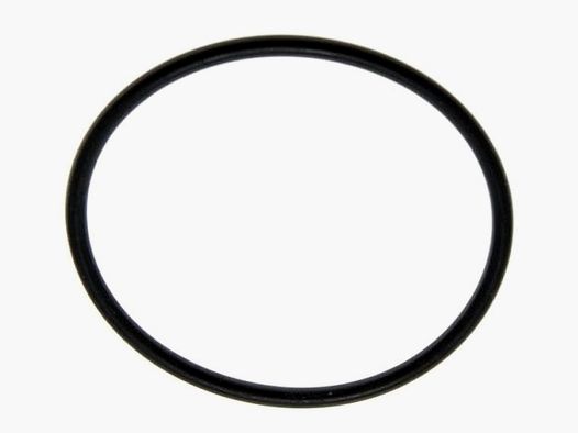 O-ring di ricambio per il silenziatore VESPULA "Resistente al calore"