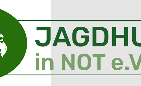 Jagdhunde-in-Not e.V.: Der Retter in der Not für vierbeinige Freunde