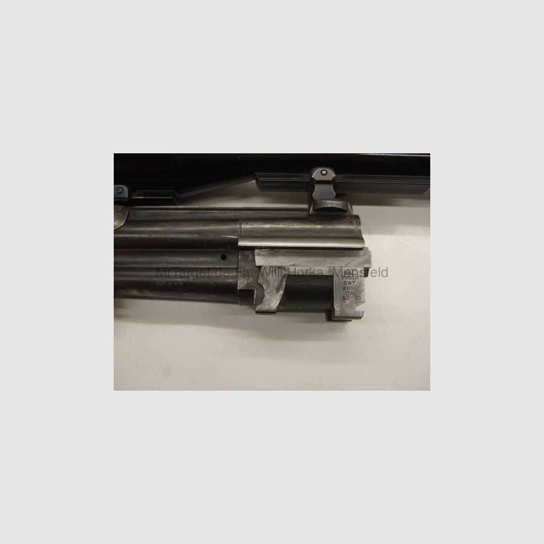 Sabattii mit ZF SWAROVSKI 6x42 Absehen 1