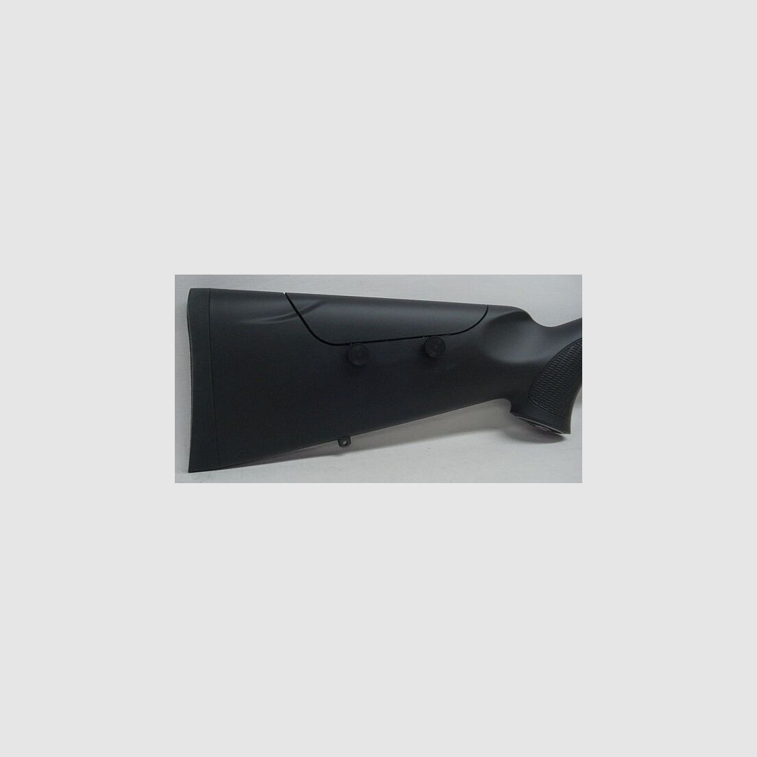 Sauer	 101 Silver XTA LL56 & MG oV
