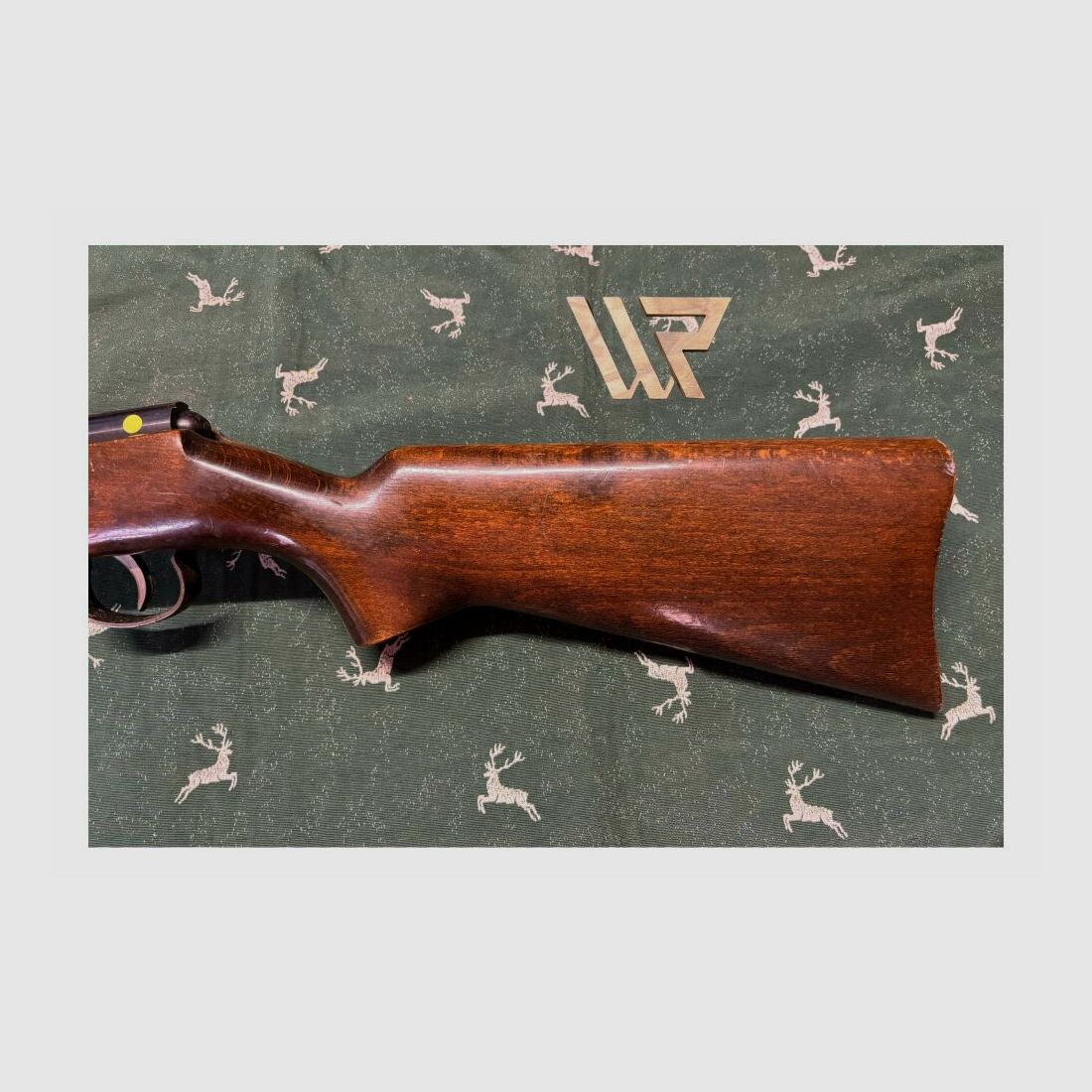 Anschütz .22lr