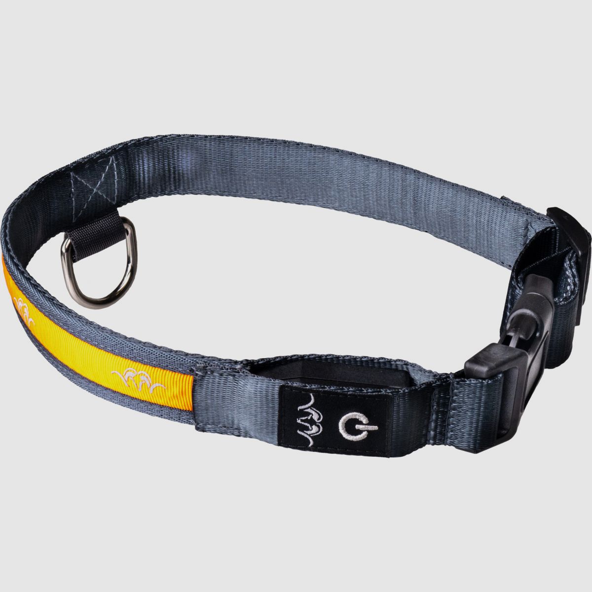 BLASER Halsband LED