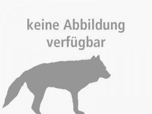 Recknagel (T0001-112A) Klemmschraube für Blockmontage