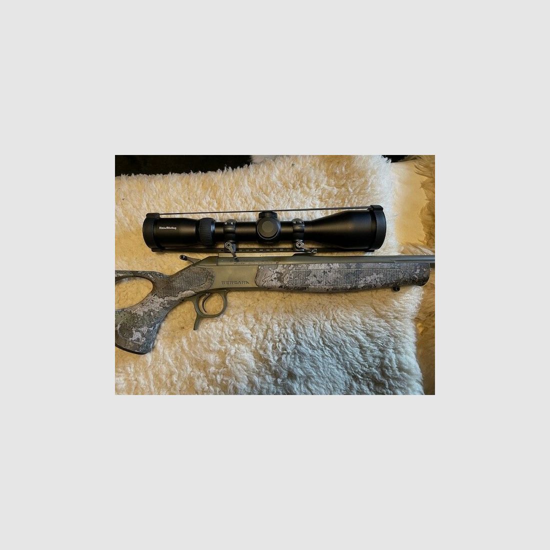 Bergara BA