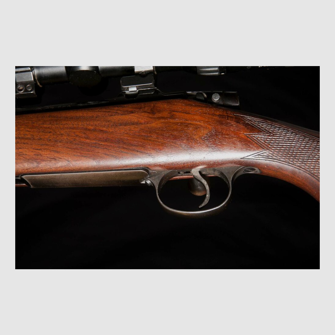 CZ repeater, ideal weapon for young hunters, swivel mount double version