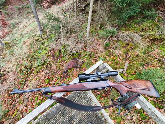 Sauer 202 Highland 